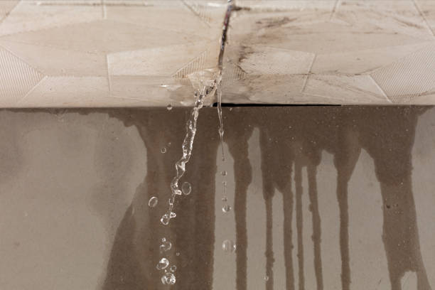 Professional Water Damage Restoration technician working in Show Low, AZ